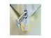 Lancheira Térmica Julienne Sunrise Spiral Stanley | 7L - 2