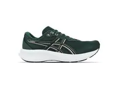 Tênis Asics Raiden 5 Dusty Fern/Light Dust Masc Tam 40 - 2