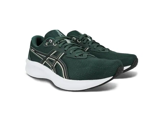Tênis Asics Raiden 5 Dusty Fern/Light Dust Masc Tam 41