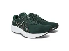Tênis Asics Raiden 5 Dusty Fern/Light Dust Masc Tam 44