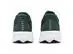 Tênis Asics Raiden 5 Dusty Fern/Light Dust Masc Tam 44 - 5