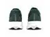 Tênis Asics Raiden 5 Dusty Fern/Light Dust Masc - 5