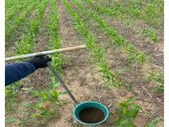 Assessoria agronômica - 1