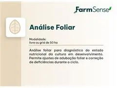 Análise Foliar - 1
