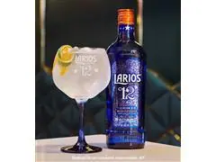 Larios Gin 12 Premium Mediterrâneo 700ml - 3