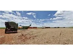 CONSULTORIA AGRONOMICA, VISITAS TECNICAS E PRESTAÇÕES DE SERVIÇOS. - 0