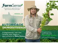 Consultoria Agronômica - 2