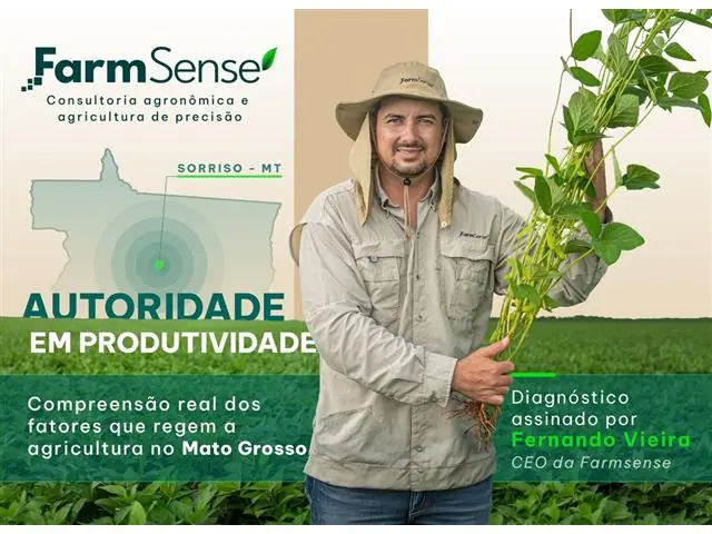 Mapeamentos NDVI