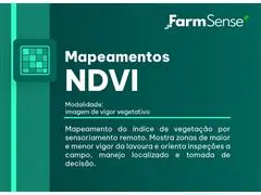 Mapeamentos NDVI - 1
