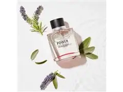 Perfume Power of Seduction Antonio Banderas Eau de Toilette 100ml - 1