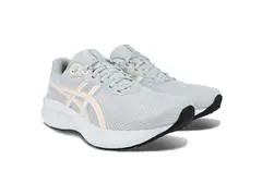 Tênis Asics Raiden 5 020 Piedmont Grey/White Fem - 0