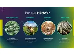 SAT TECH 2.0 HEMAV - 0