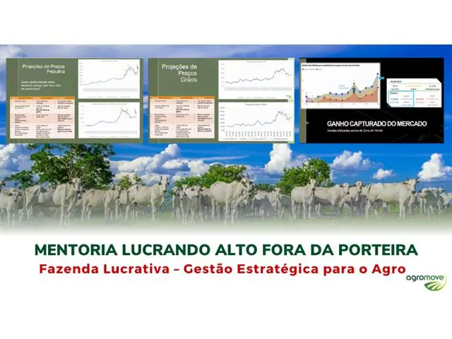 Mentoria Lucrando Alto Fora da Porteira