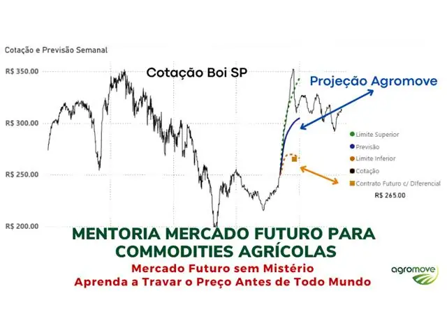 Mentoria Mercado Futuro para Commodities