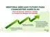 Mentoria Mercado Futuro para Commodities - 1