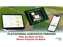 Plataforma Premium Antecipe o Mercado - 3