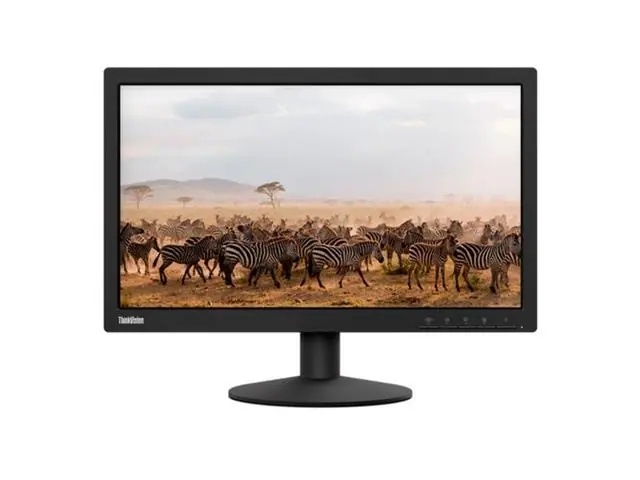 Monitor Lenovo E20-1B 19,5"