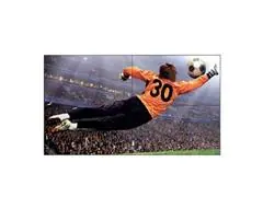 Monitor Profissional LG LED 49" VideoWall - 0