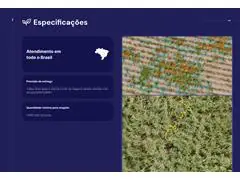 Identificação de plantas em nível de espécie