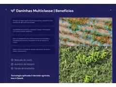 Identificação de plantas em nível de espécie - 1