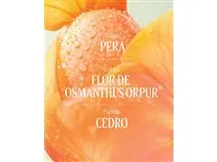 Creme para Mãos Perfumado Osmanthus Abricot 30mL (Osmanthus) - 3