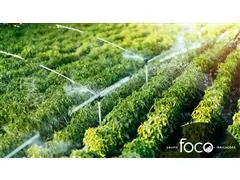 Consultoria de Irrigação - FOCO