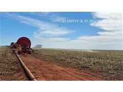 Consultoria em Manejo Integrado de Pragas (MIP) - YH - 4
