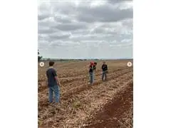 PESQUISAGRO TREINAMENTO E EXPERIMENTAÇÃO AGRONOMICA - 1