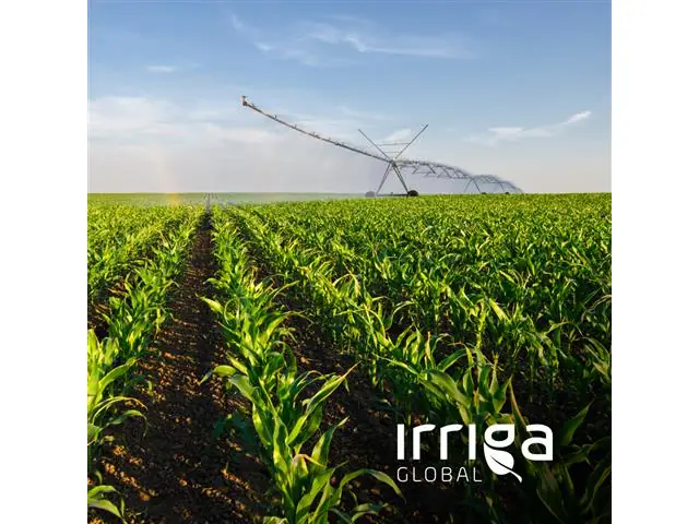 Manejo de Irrigação Com ou Sem Estação de Campo