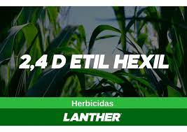 2,4 D ETIL HEXIL