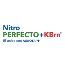 Nitro Perfecto Super+KBrn TRB*