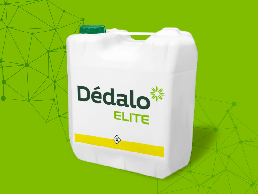 DEDALO ELITE (2,4 D)