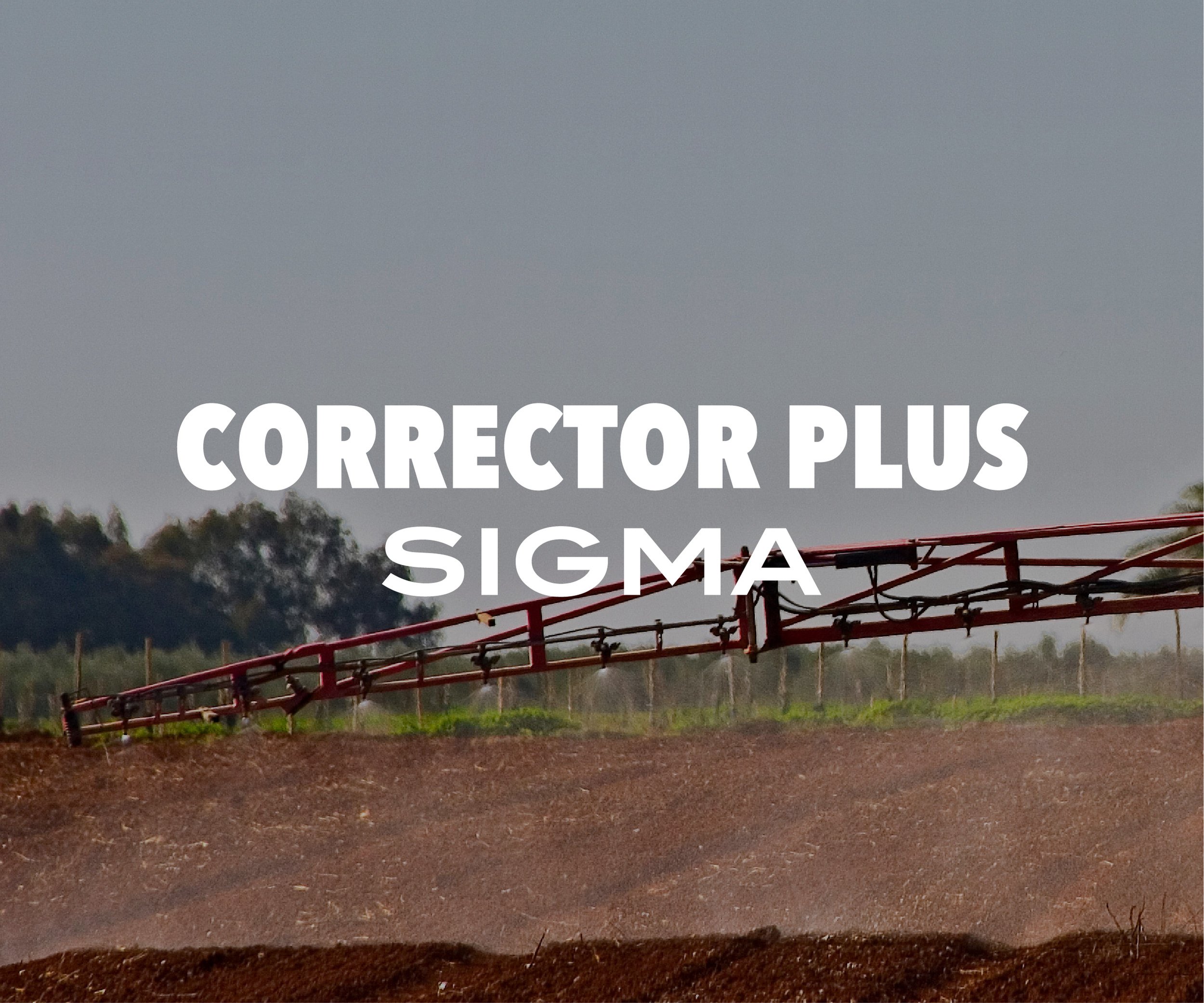 CORRECTOR PLUS