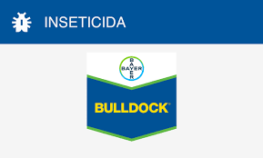 BULLDOCK