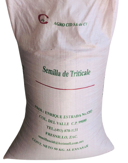 Semilla de Triticale Rio Nazas