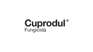 Cuprodul