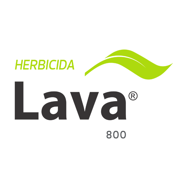 Lava 800