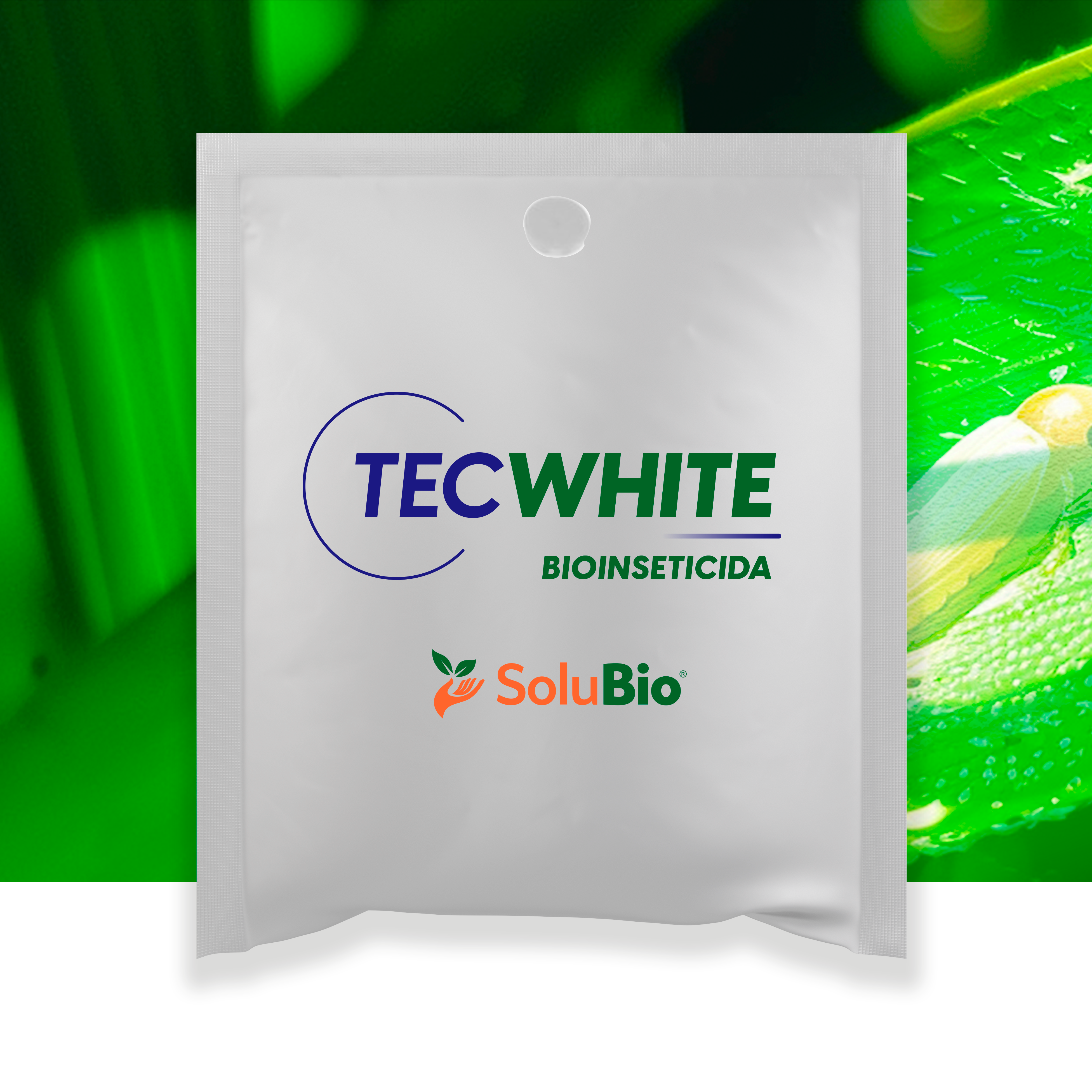 TEC WHITE - 2,5Kg