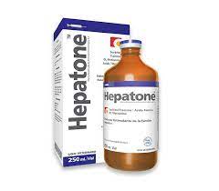 HEPATONE - LARGE