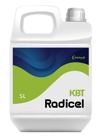 KBT Radicel