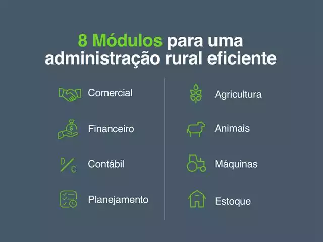 Sistema +Gestão da Connectere - 2