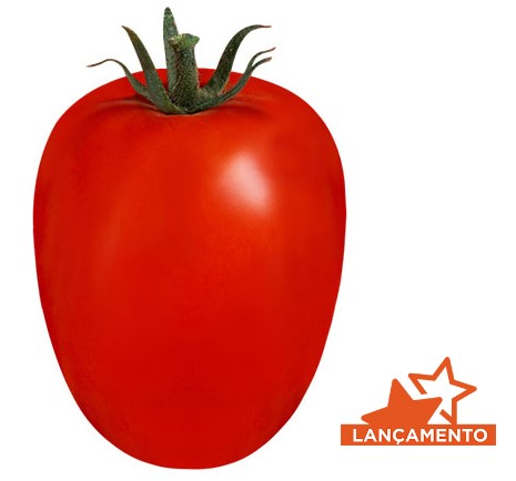 Tomate Masseratti