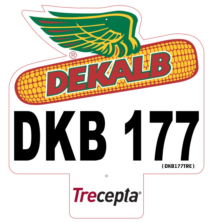 MILHO HIB DKB 177 TRECEPTERA PO (ACCELERUS ESSENTIAL)