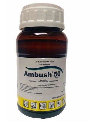 Ambush 50