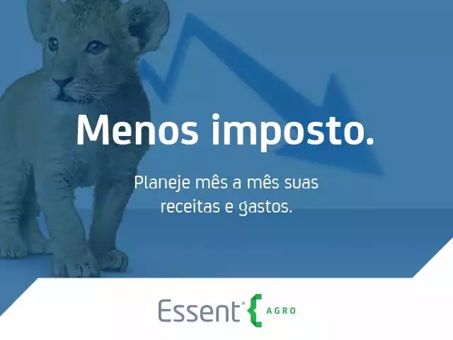 Robô de Planejamento Tributário e Controle Financeiro - 2