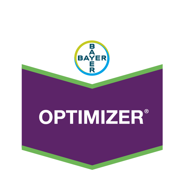 Optimizer