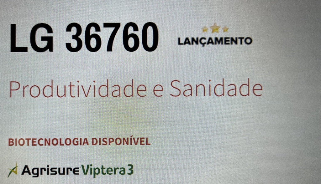 Semente de Milho hib 36770 PRO3