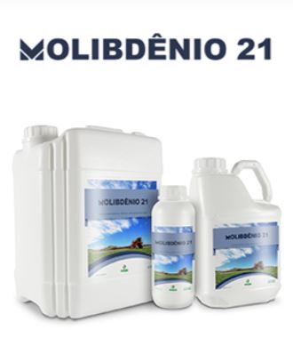 MOLIBIDÊNIO 21