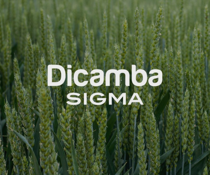 DICAMBA