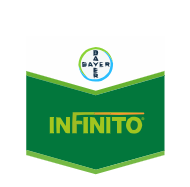 Infinito